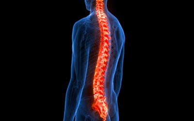 The Most Common Causes of Spinal Cord Injuries