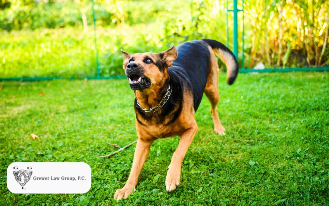 How Liability Works for Injuries Caused by Animals Other Than Dogs in Illinois