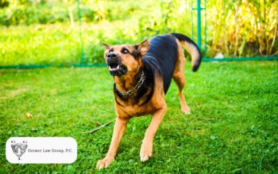 How Liability Works for Injuries Caused by Animals Other Than Dogs in Illinois